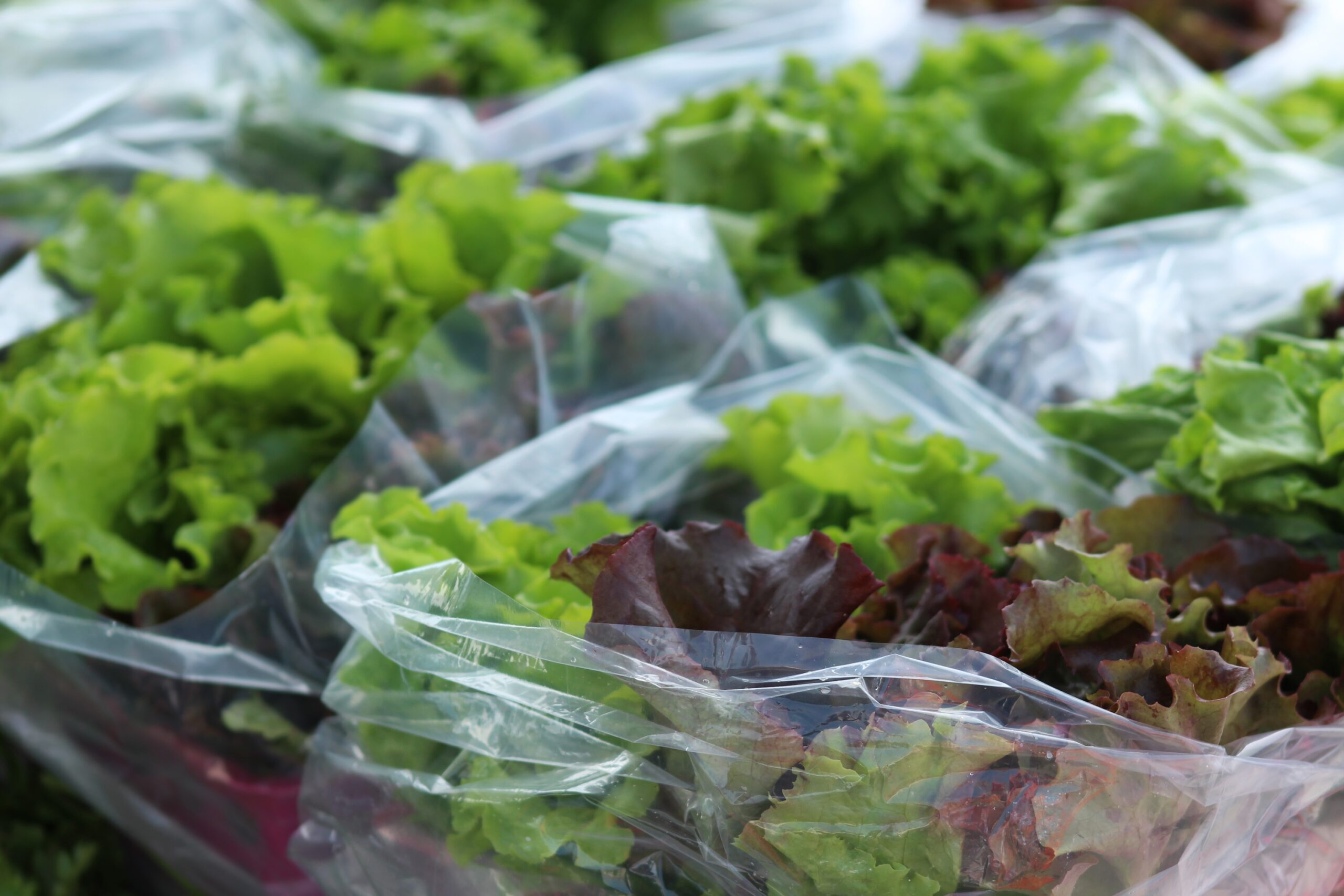 how to keep bagged salad fresh, longer, according to food scientists